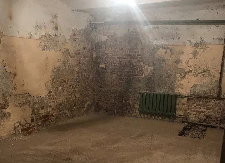 Кампания по ремонту подвала